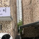 삶 오로지 다 | [공지] 천안두정동 속눈썹펌 ‘오로지아’ 인생 먹물펌 블랙틴팅 관리법 후기