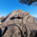 황매산기적길 이미지