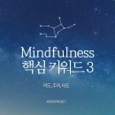 마인풀니스