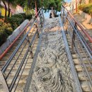 차이나연경 이미지