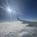 신흥목장 | 중국 대련 여행 맛집 리스트 : 시딩 성게만두부터 디저트 까지 먹방 코스