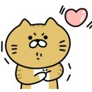 모라동물병원 이미지