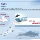 일등여행사 이미지