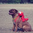 조이병원 이미지