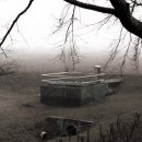 주암호 생태습지 이미지