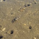 갯벌펜션(민박) 이미지