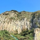 제주 산방산 암벽식물지대 이미지