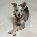 울진솔펜션 이미지