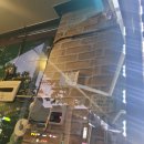 꼴통포차 이미지