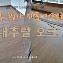 유연프라자 이미지