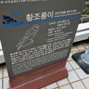 서면삼익 | 세 번째 부산 여행(2박3일)-뚜벅이