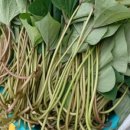 종순농장 이미지