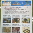 푸파페 제주 체험 프로그램 안내 이미지