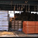 혜인목장 이미지