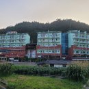 다우리조텔 이미지