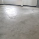 Bliss 강아지 유치원 이미지