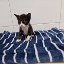 CU수성황금점 이미지