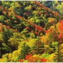 오늘은한의원 이미지