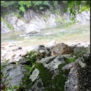 남원태권도장 | &lt;전북&gt; 남원시 지리산 덕동자동차야영장 부부캠핑... (2012.07.14~07.15)