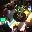 숲속성광유치원 이미지