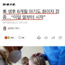 생후 6개월 아기도 코로나 접종한다 이미지