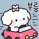 캠프리카 이미지