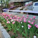 방아다리근린공원 이미지