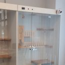 고양이 미용 미오 이미지