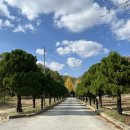 아산스테이 이미지