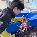 내내농수산 이미지