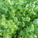 아세안마트 이미지