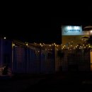 논산애견 이미지