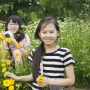 북일초등학교 이미지