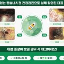 하남숲동물병원 네이버블로그