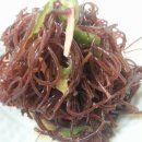 오대양복어 이미지