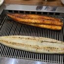 인주장어촌 이미지