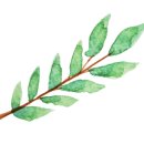 영문캘리모던서체 이미지