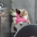 우동만100년 | 숭의동 자가제면 우동맛집 우동만100년 내돈내산 후기