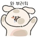 커들리 독 이미지