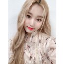 비채원