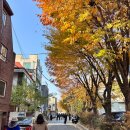 팀 크루아상 | 마샬브라이드 드레스·이미지 투어 후기 + 서촌 라 부아뜨 블루 크루아상