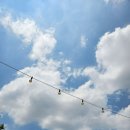 오리한국별관수완점 이미지