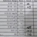 순풍동물병원 이미지