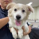 마도공단로 이미지