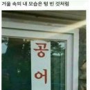 타볼로24 네이버블로그