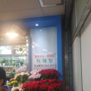 5,000원에 소량씩 구매 가능 고터 [강남꽃직매장]