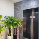 수치주과치과의원 이미지