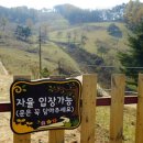 항우목장 네이버블로그