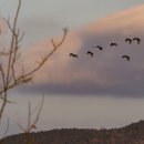 순천만습지 이미지