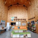 대관령톡톡 이미지